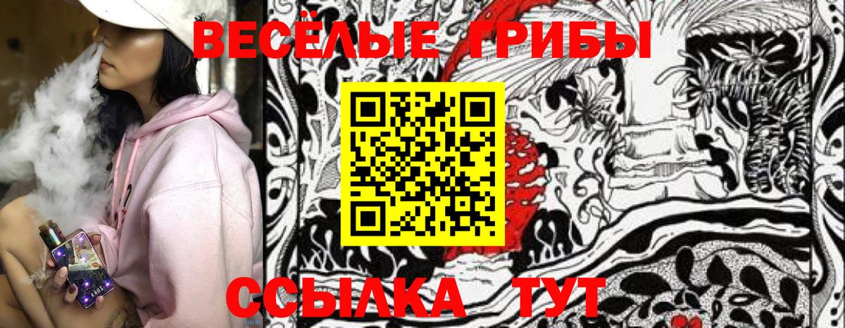 Еманжелинск  Галлюциногенные грибы Cubensis  Вход с VPN 